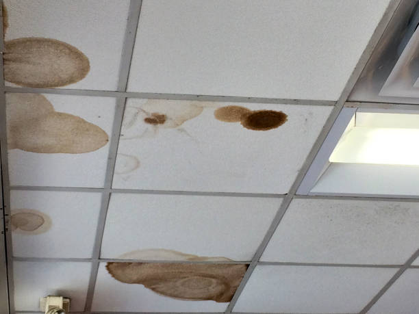 How To Repair Damaged Suspended Ceiling