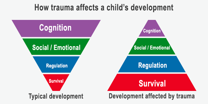 Understanding Trauma: Learning Brain vs Survival Brain