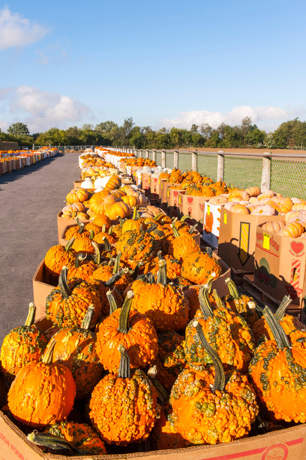 Nolt's Produce Supplies