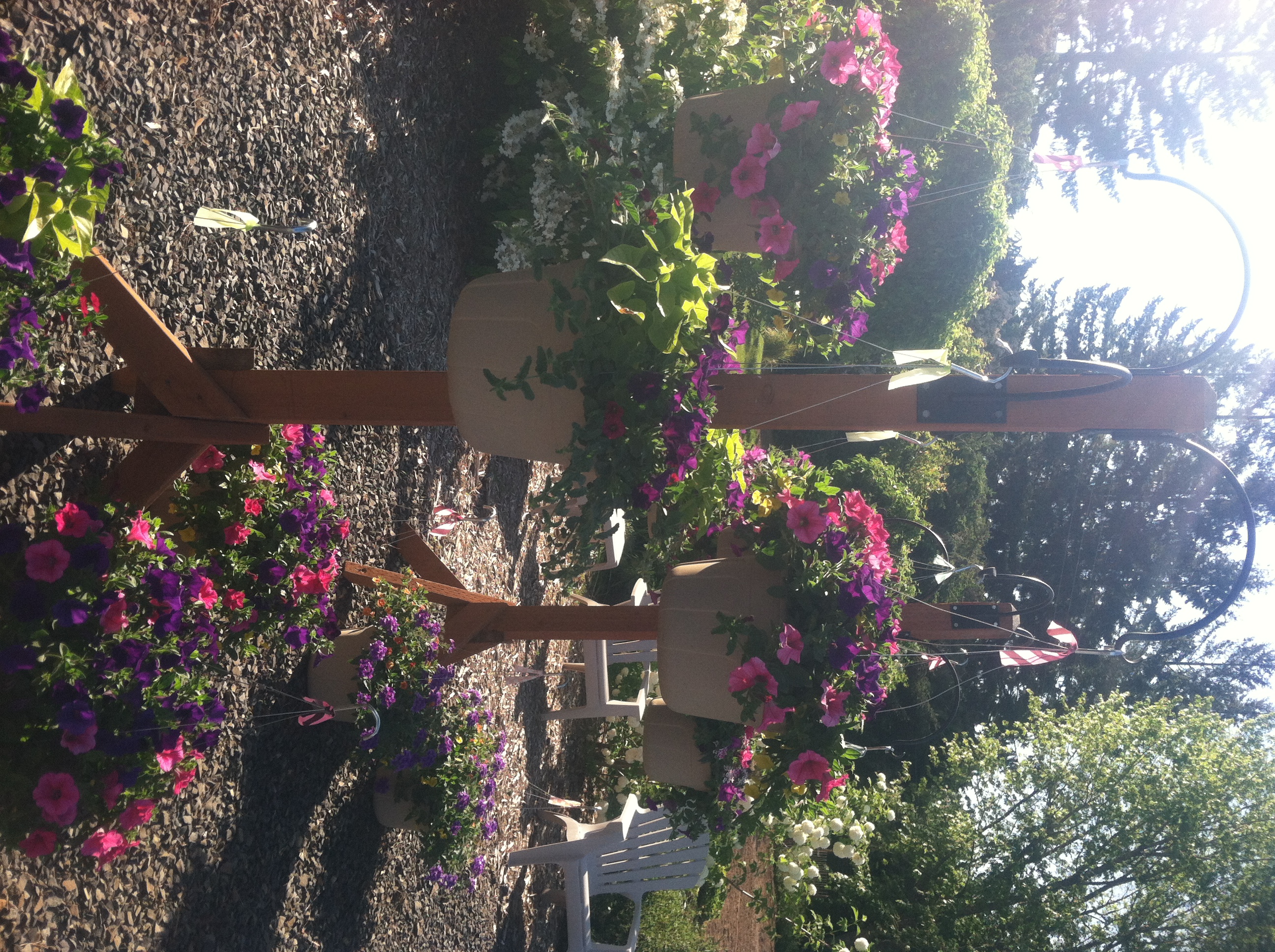 Seasonal Mary Herb Flower Farm Shop. Hillsboro, Oregon