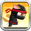Cat Ninja