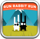 Run Rabbit Run