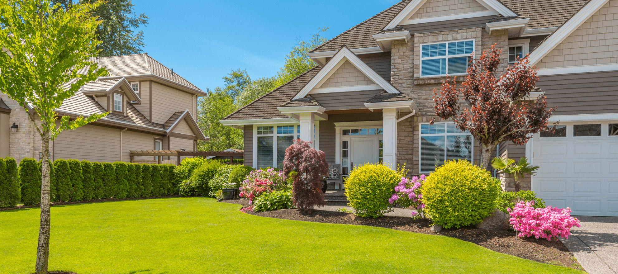 house landscaping