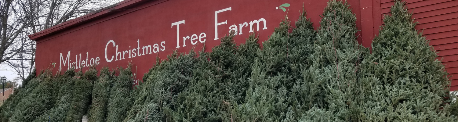 Christmas Tree Farms Near Me Hiring