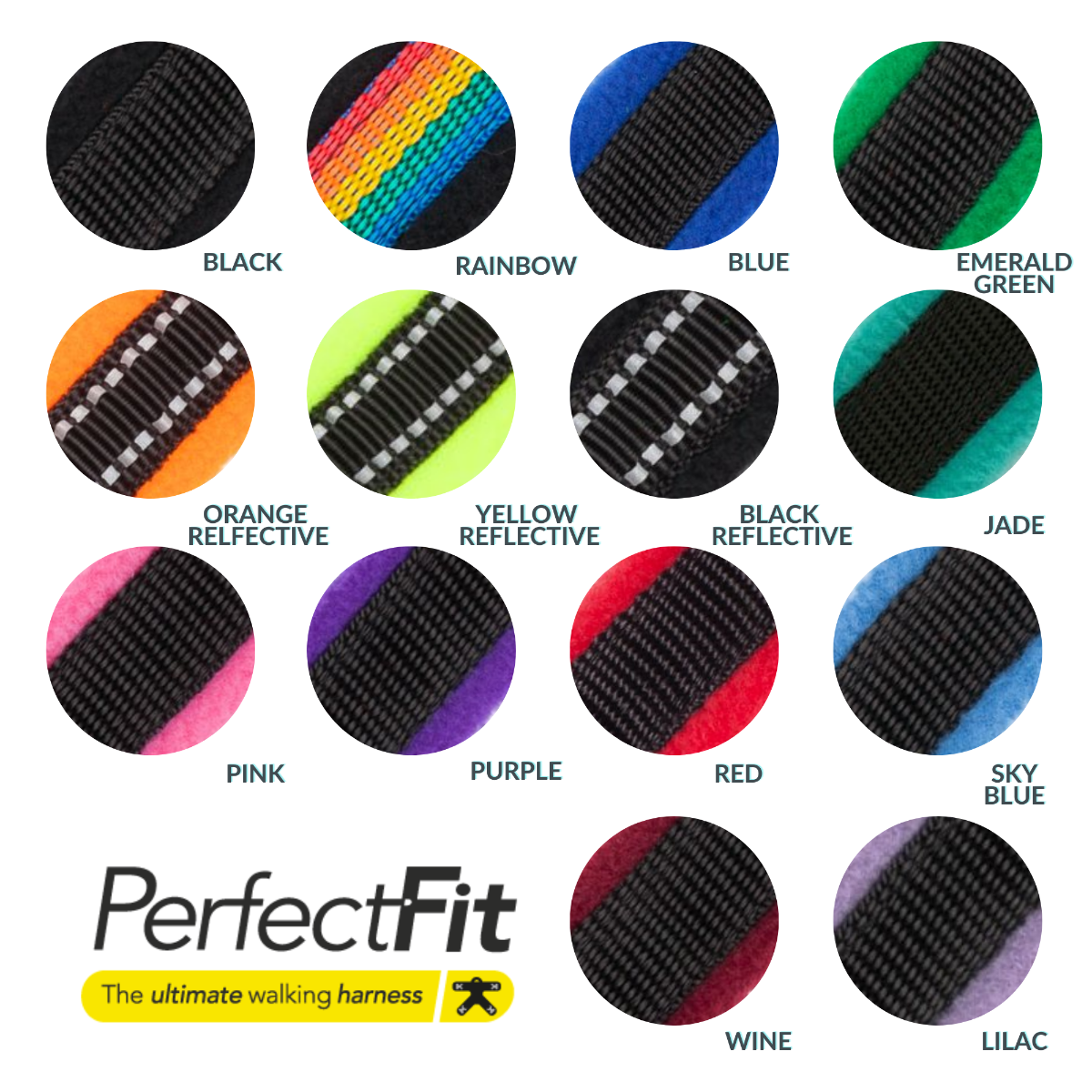 How Do You Measure A Dog For A Perfect Fit Harness