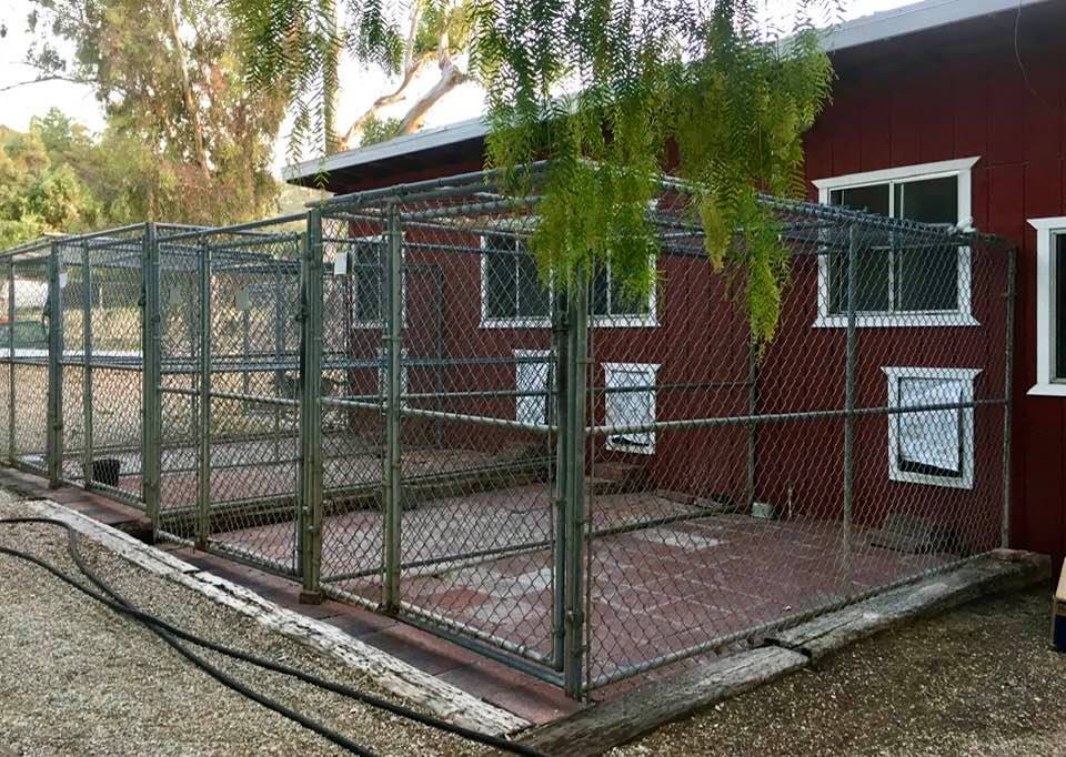 how much is a dog kennel per day