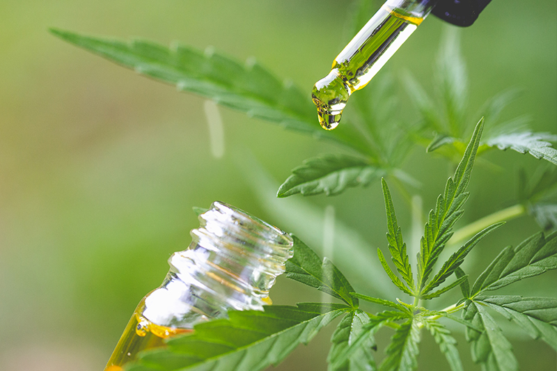 hemp-oil-vs-cbd-oil-03.jpg