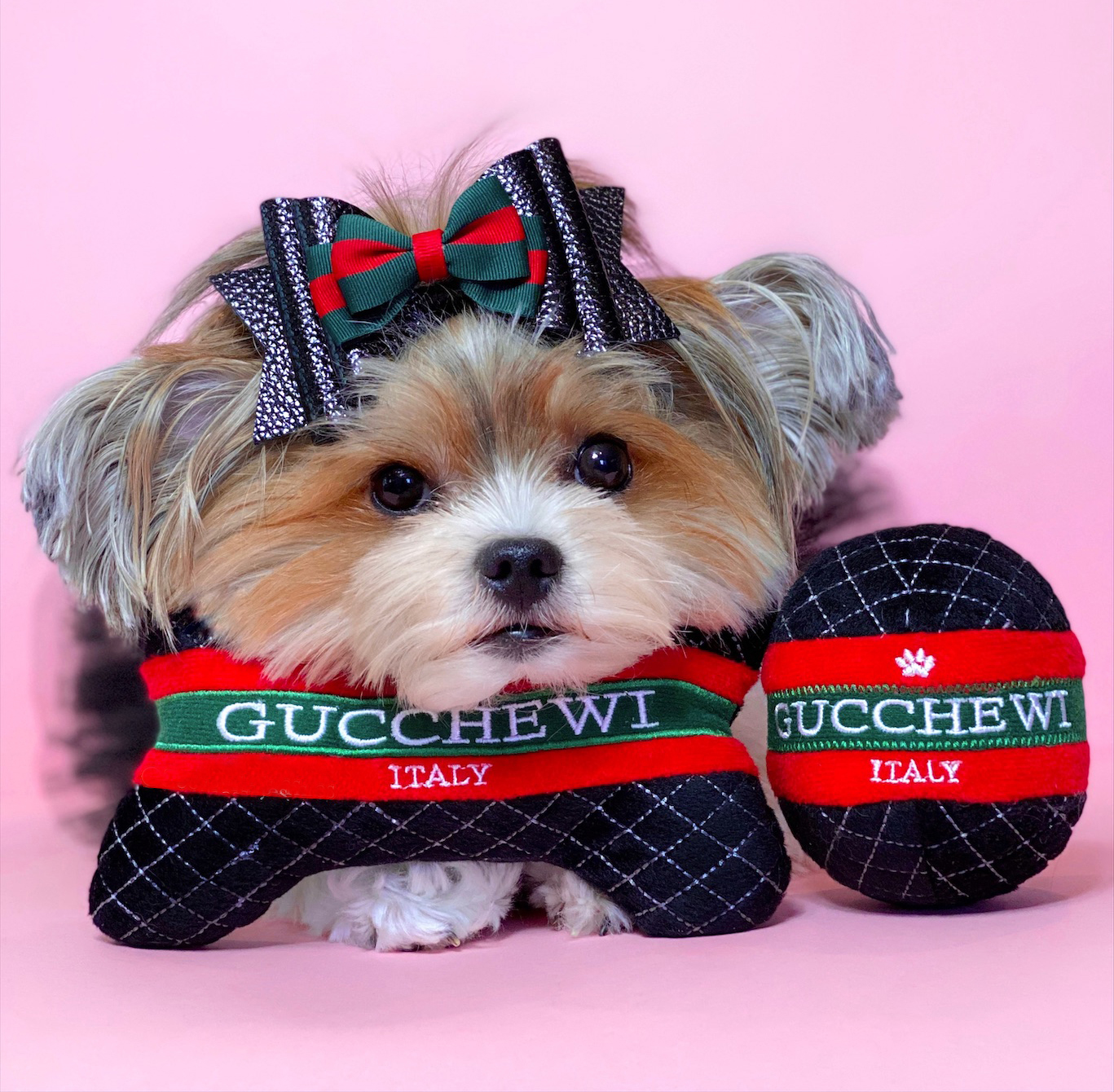 Dog Diggin Designs Runway Pup Collection