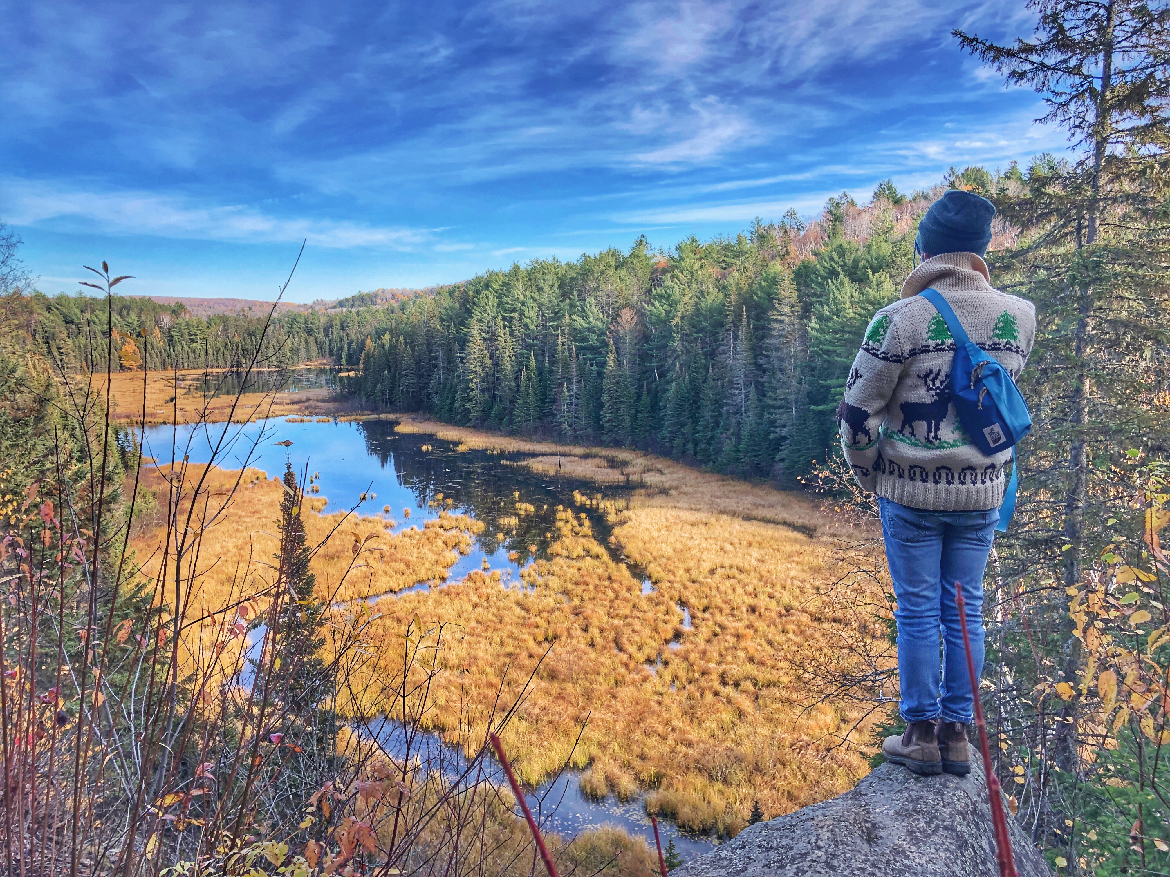 Algonquin park 2025 hiking trails