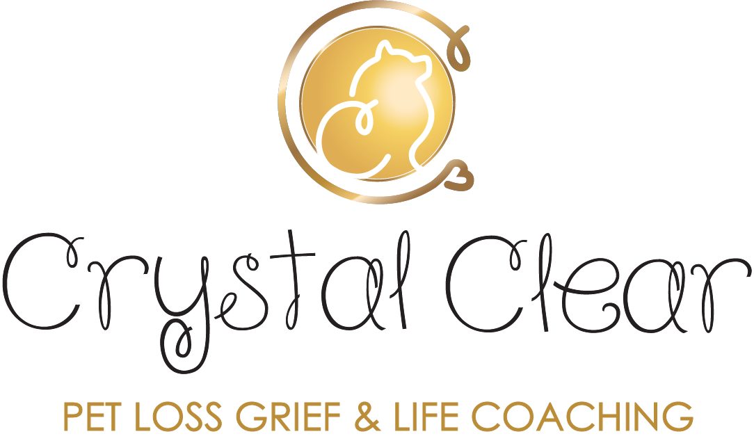 Get Crystal Clear - Certified Pet Loss Grief and Life Coach, Central  Connecticut - Home