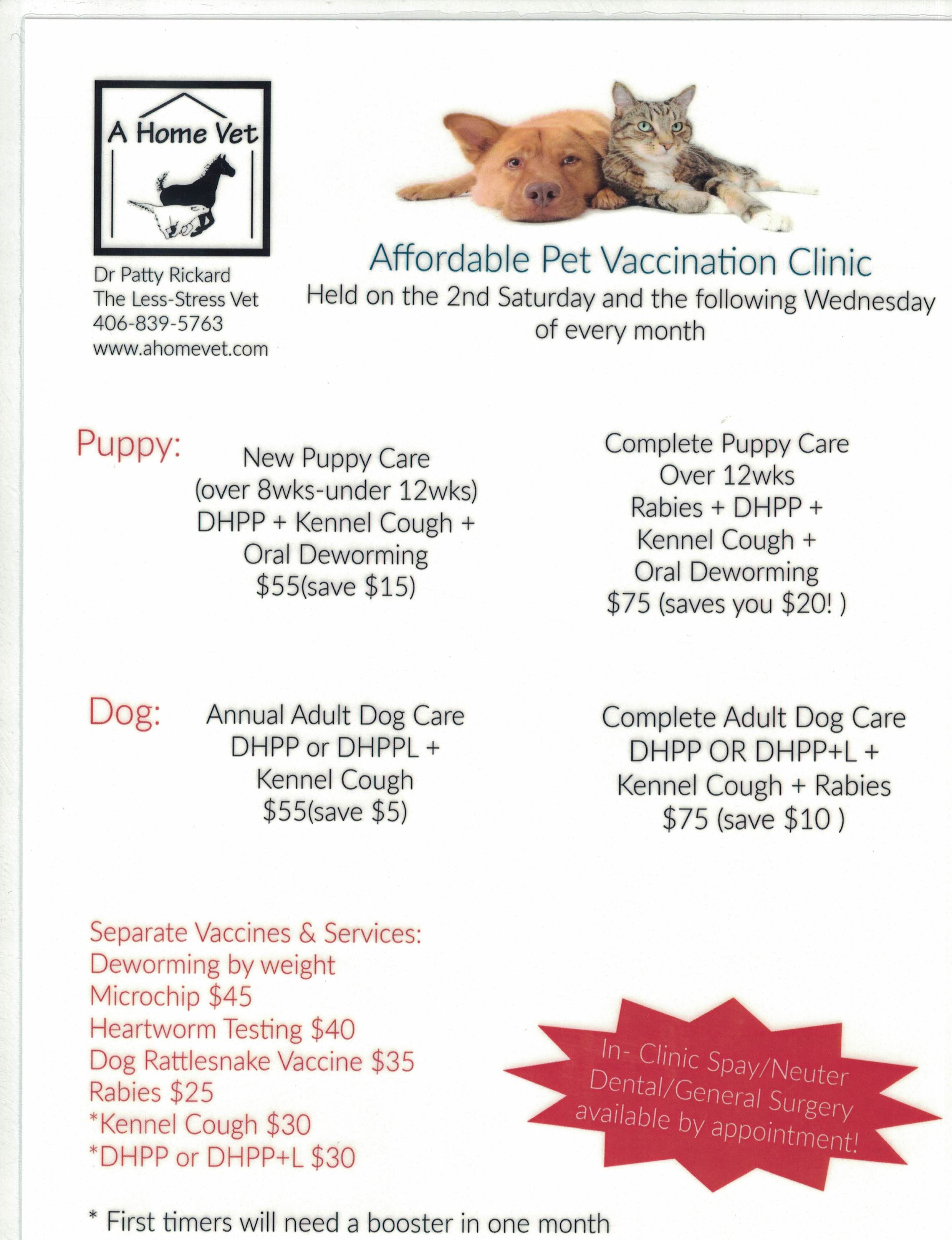 Dog deals shot clinic