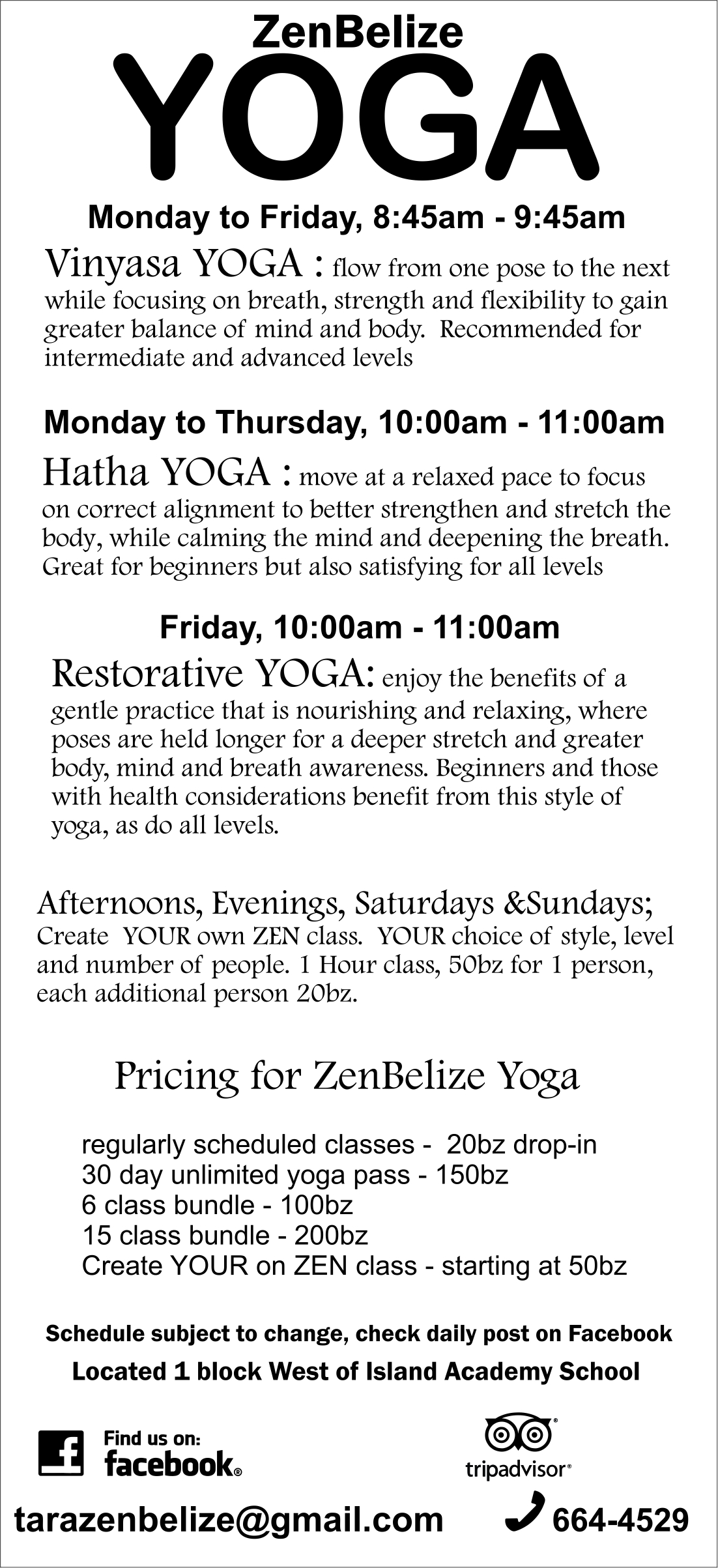 Zen Yoga Intermediate — Zen Yoga