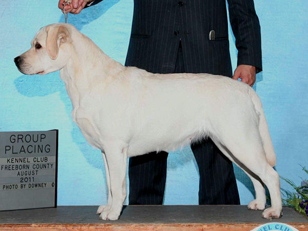 Kennel Club of Freeborn County - Home