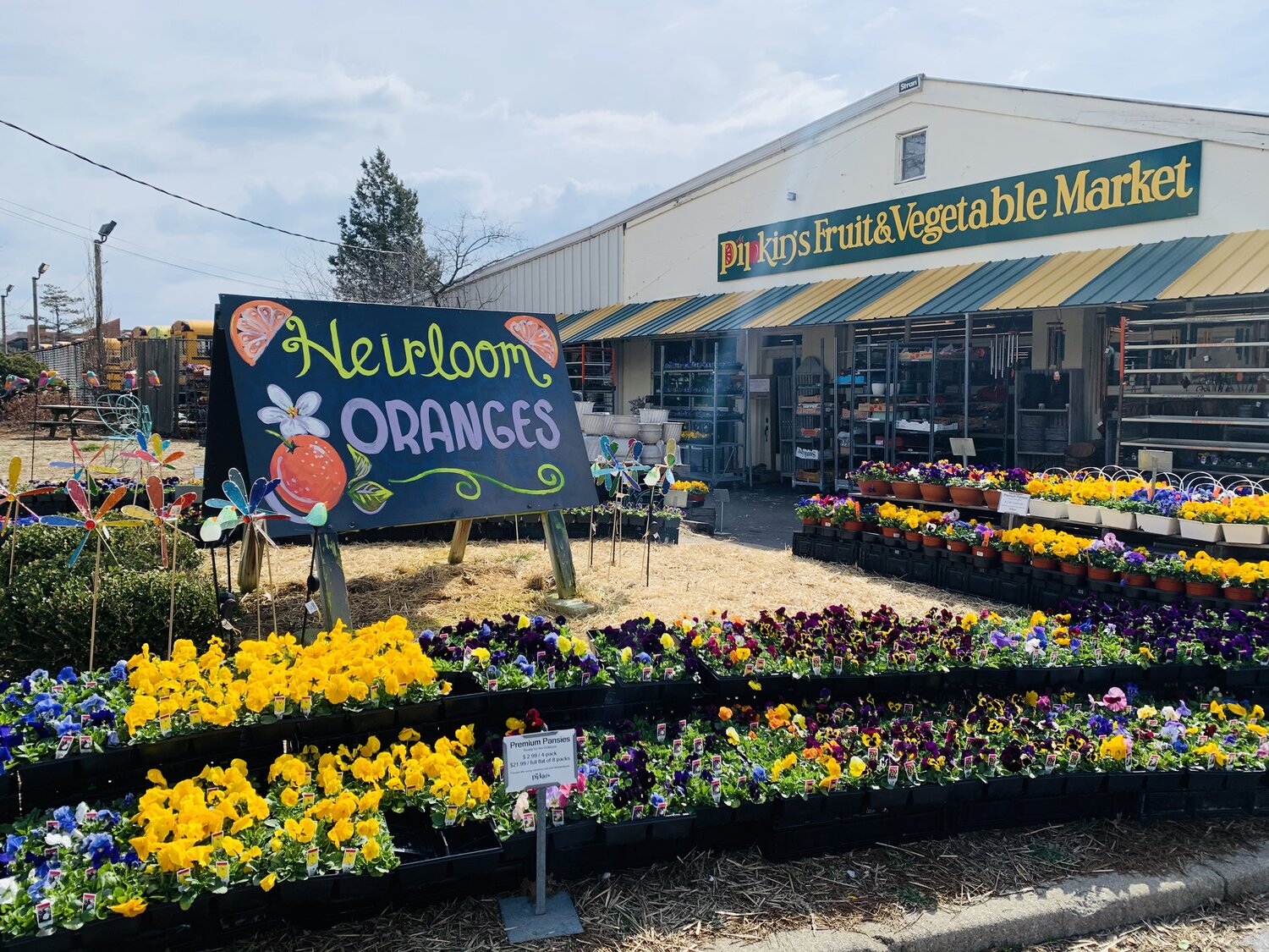 Pipkin's Market