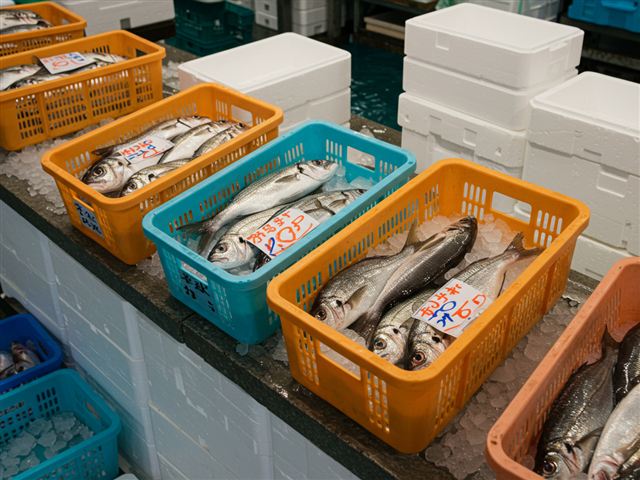 Fishery image
