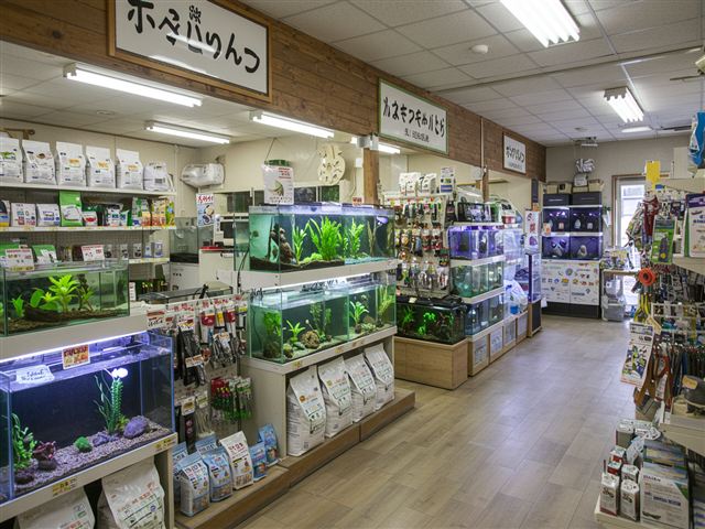 Pet Shops image