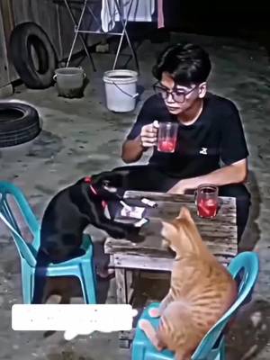 C'est quand tu crois que c'est toi seul qui fume #comédie #humour 