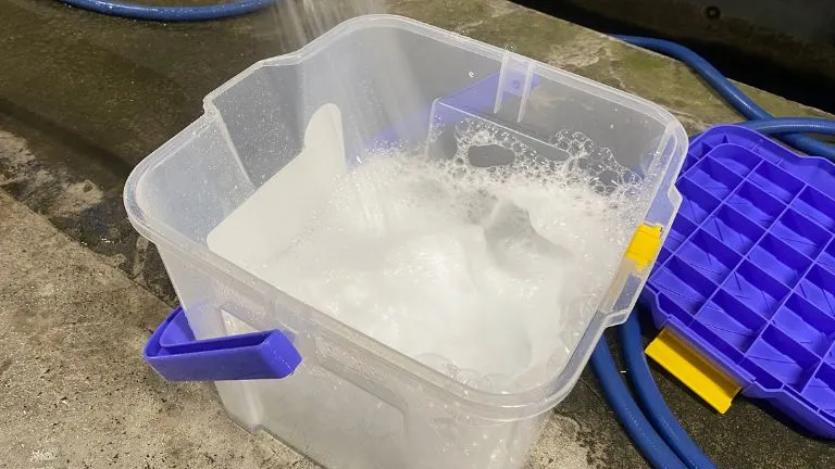 バケツに洗剤を入れてホースで勢いよく水を注ぎ、泡立てている画像