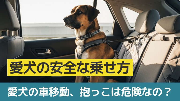 愛犬の車移動、抱っこは危険?事故を防止する安全な乗せ方とシート固定で安全に