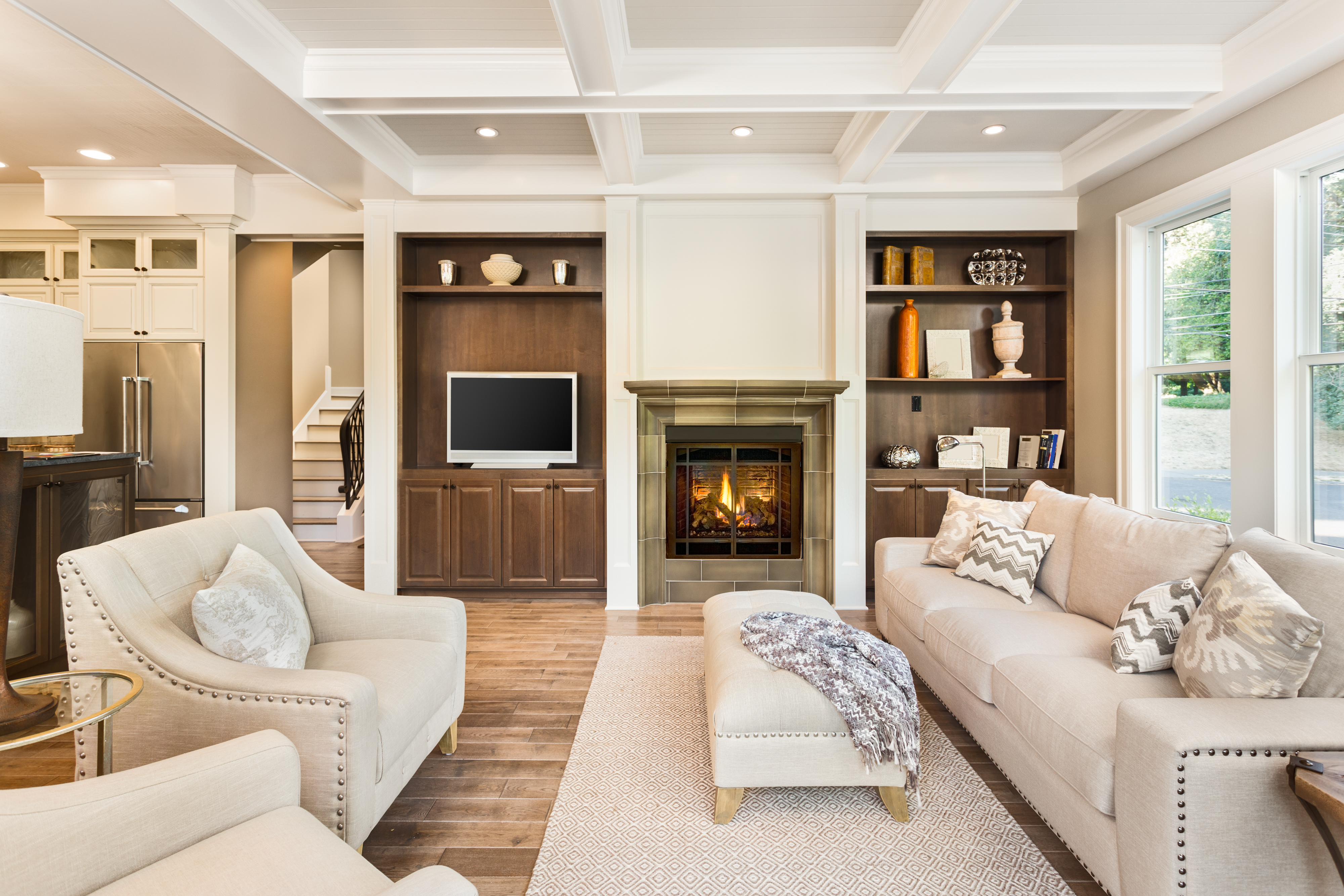 Living Room with Hardwood Floor and Rug