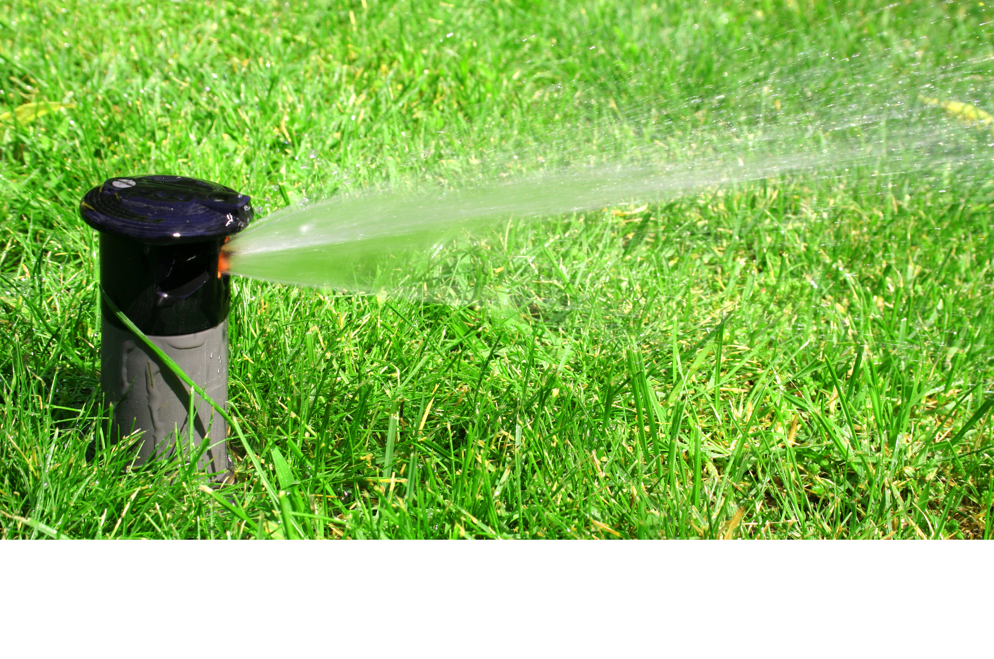 Sprinkler watering lush green grass