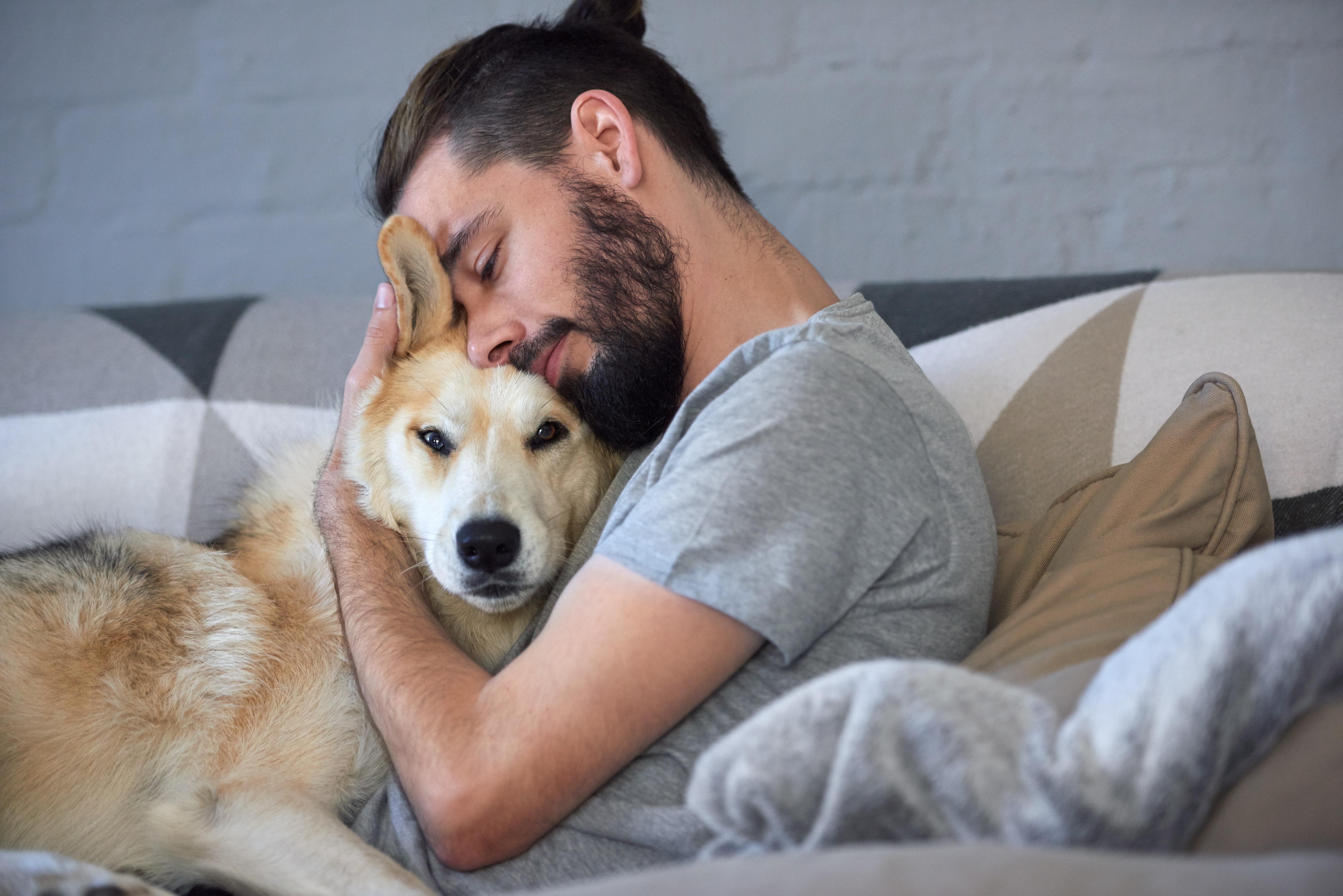 Man Hugging The Dog