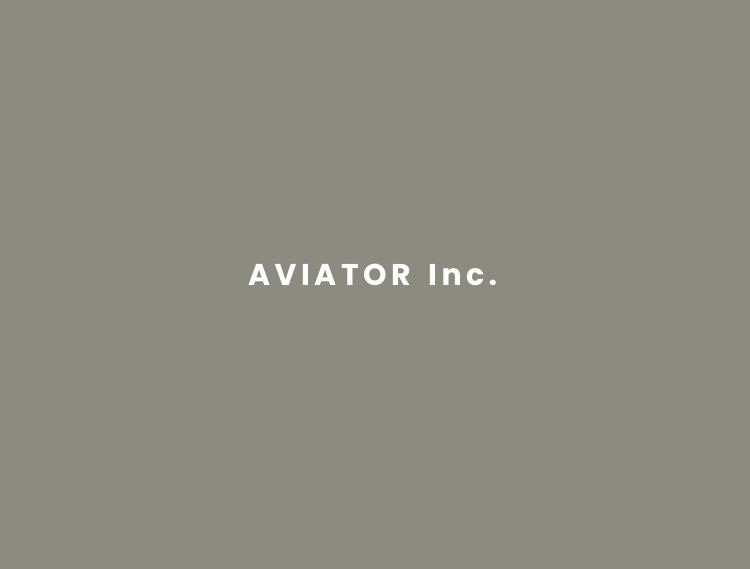 The aviator game – historia i rozwój