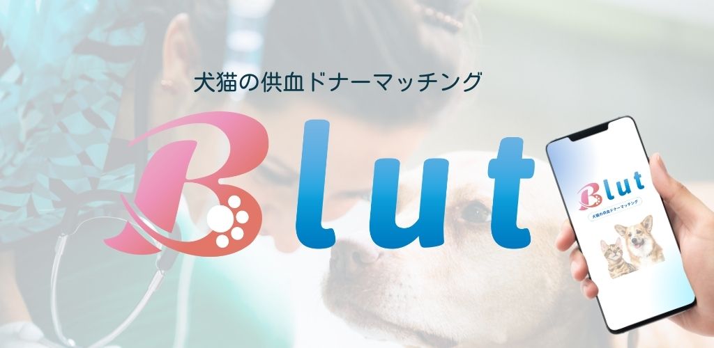 Vanishing Company | Blut