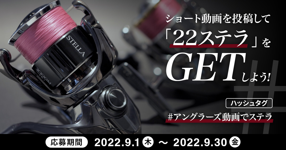 サーフからのヒラメ・マゴチ】よく釣れているロッドBest3 サーフからのヒラメ・マゴチ】よく釣れているロッドBest3
