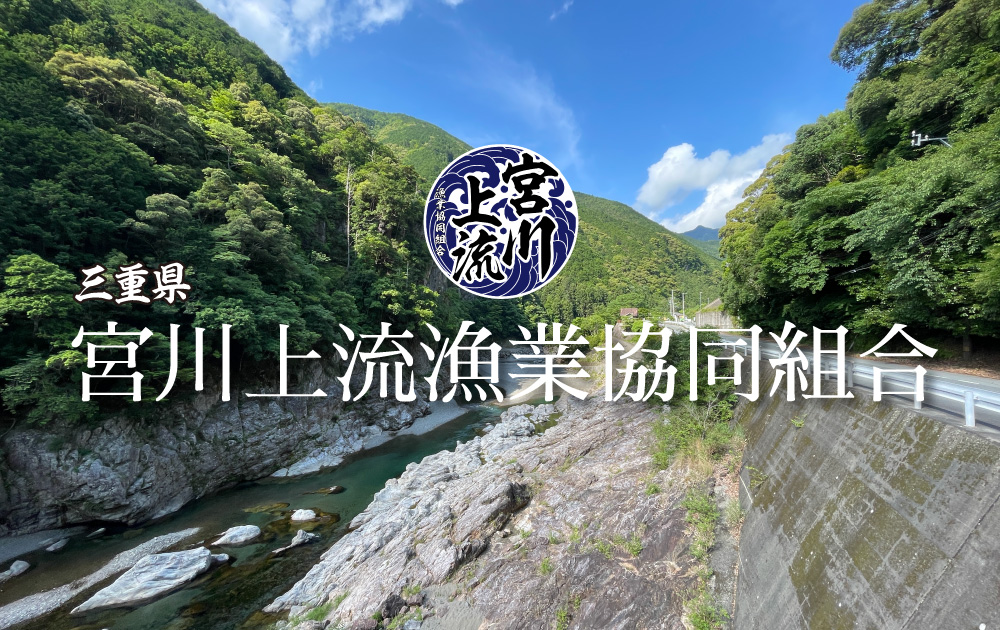 宮川上流Liveカメラ