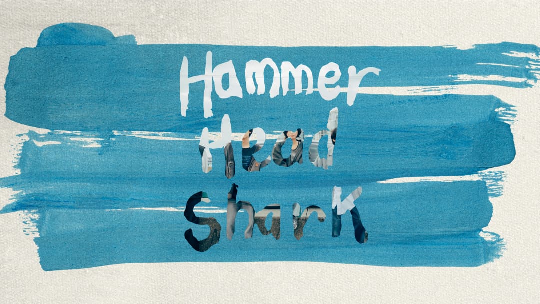 Hammer Head Shark　 LP　27°C　レコード 27℃/Hammer Head Shark