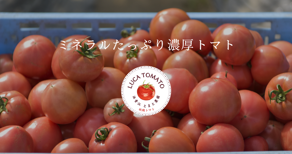 浜青江とまと農園 | 瀬戸内海の自然が育んだこだわりのトマト