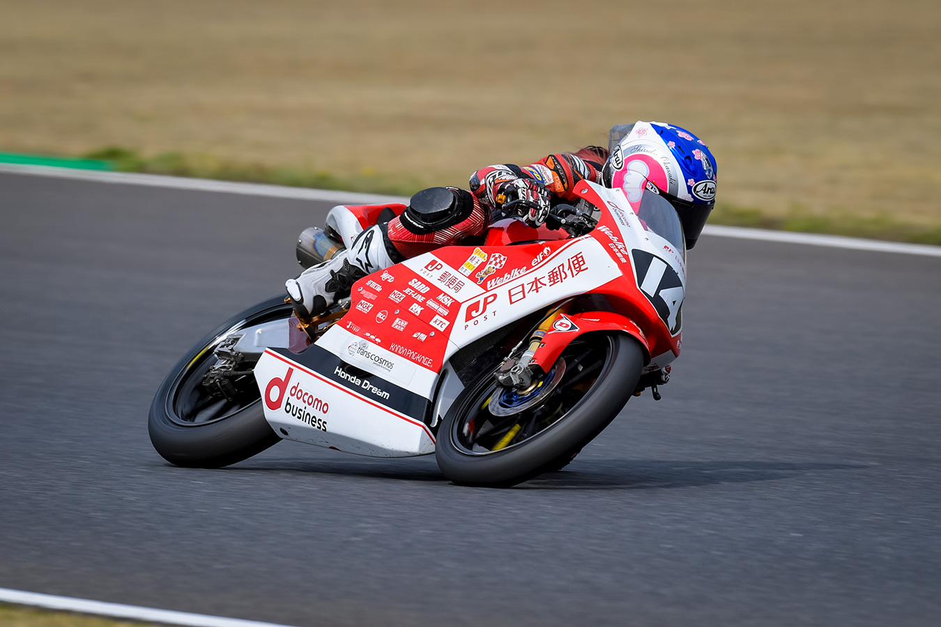 岡崎 静夏｜ライダー紹介｜JRR 全日本ロードレース オフィシャル