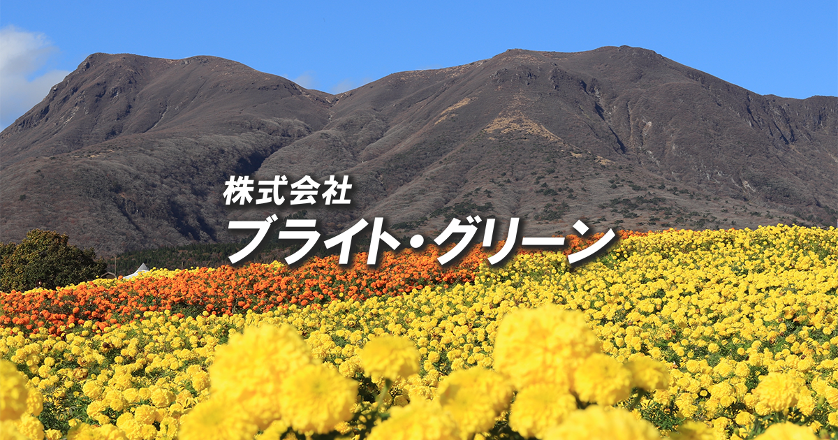 株式会社ブライト・グリーン｜商品一覧｜歩みプレミアム