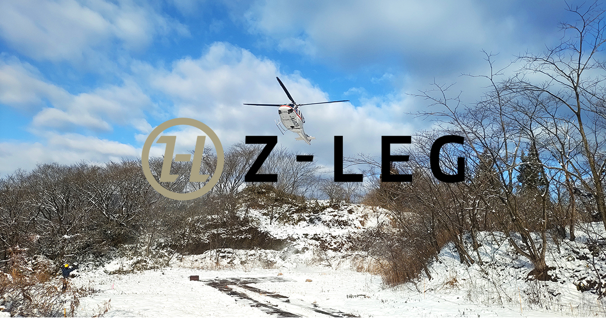Z-Leg Z-Leg