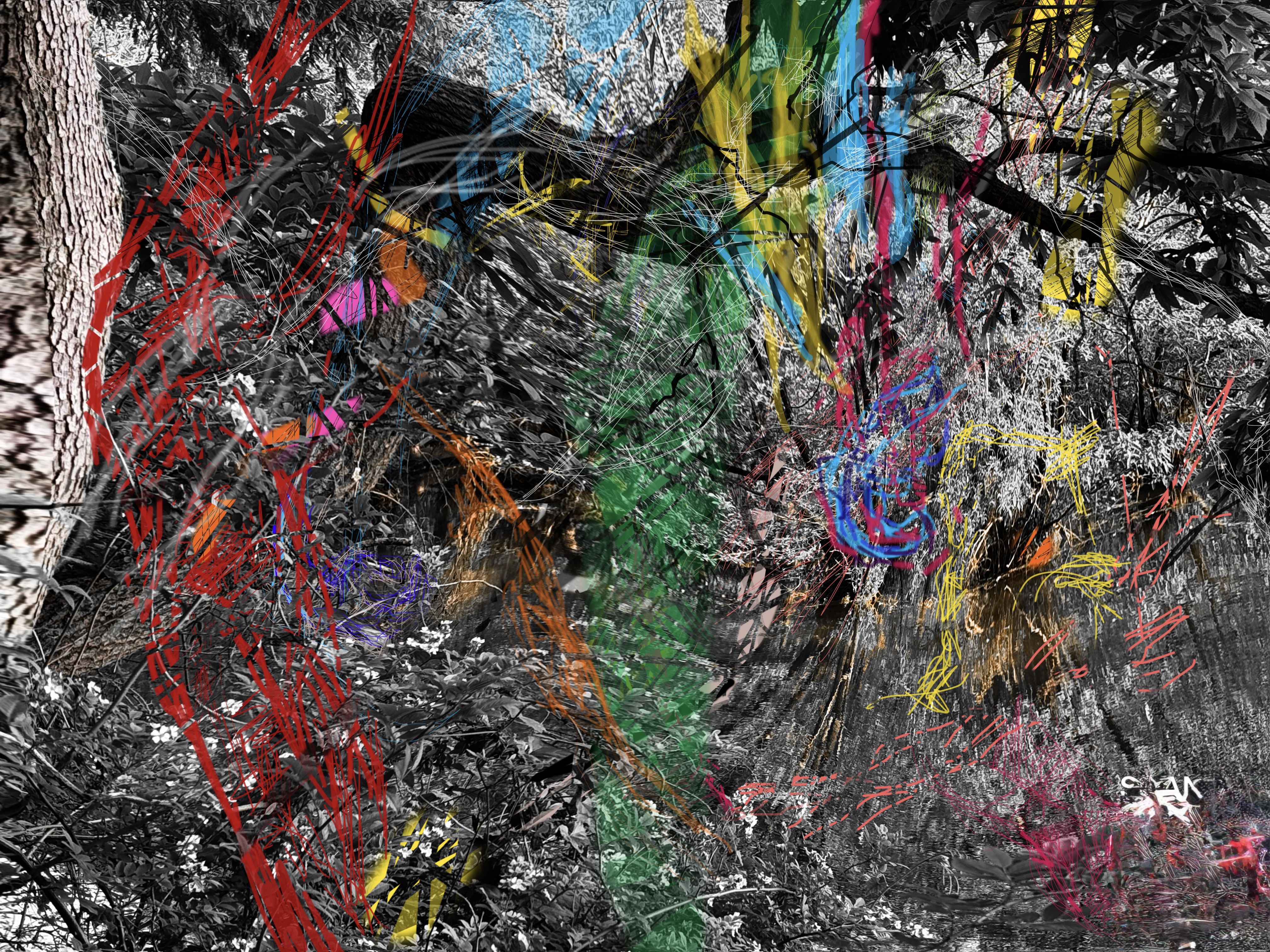 ClafT2025 / 阿目虎南 solo exhibition&performance