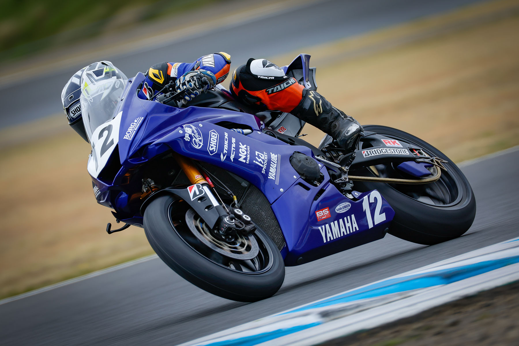 なおき 2019 Kawasaki ZX1002EKFA ZX-10R ABS KRT - 998cc Options and