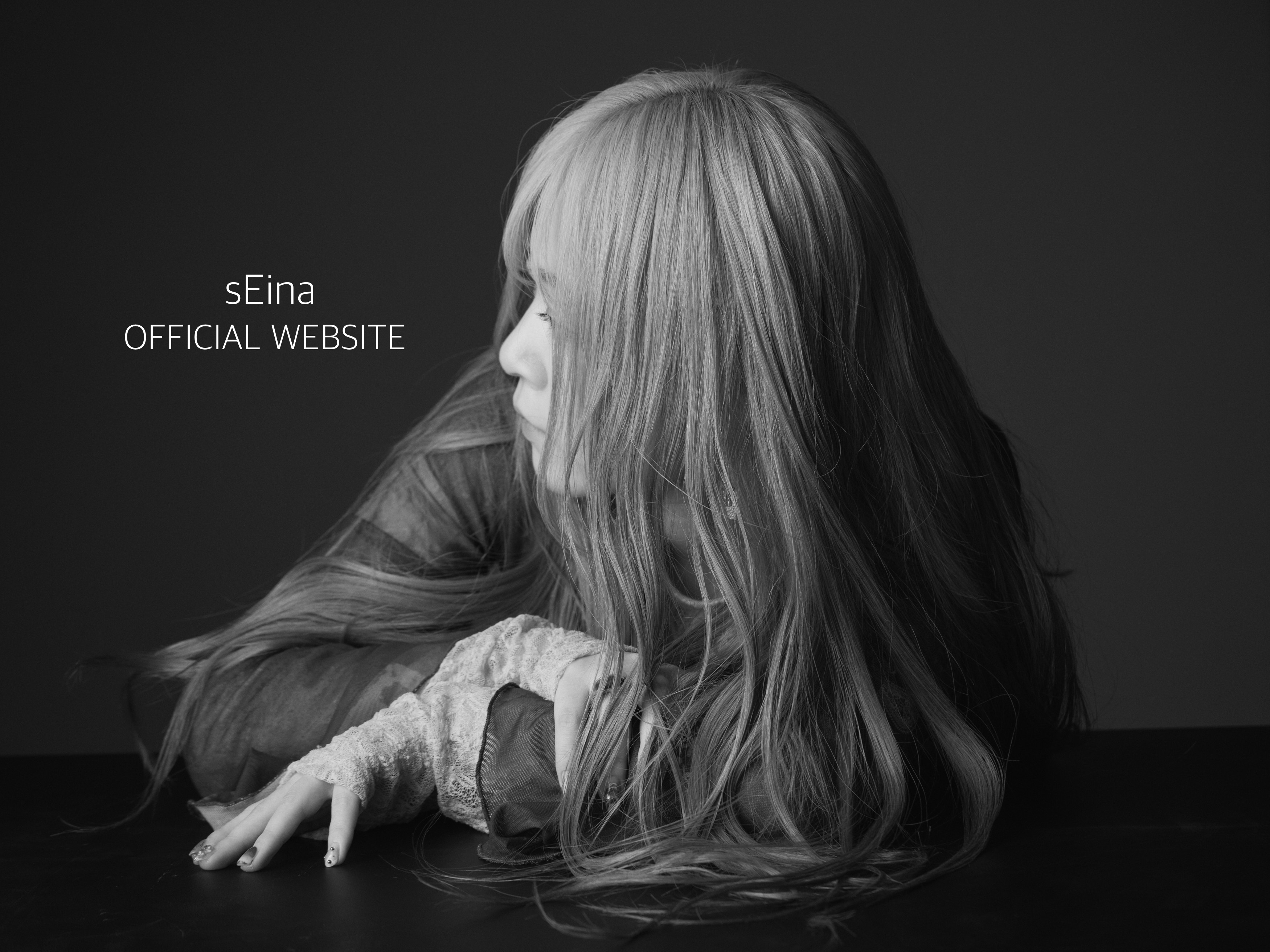 sEina Official Website