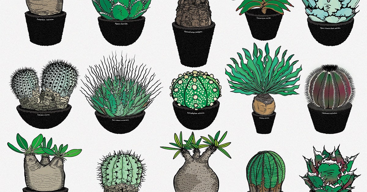 絵画 bizarre plants Bizarre plants 'Live with bizarre plants' Book | 多肉植物
