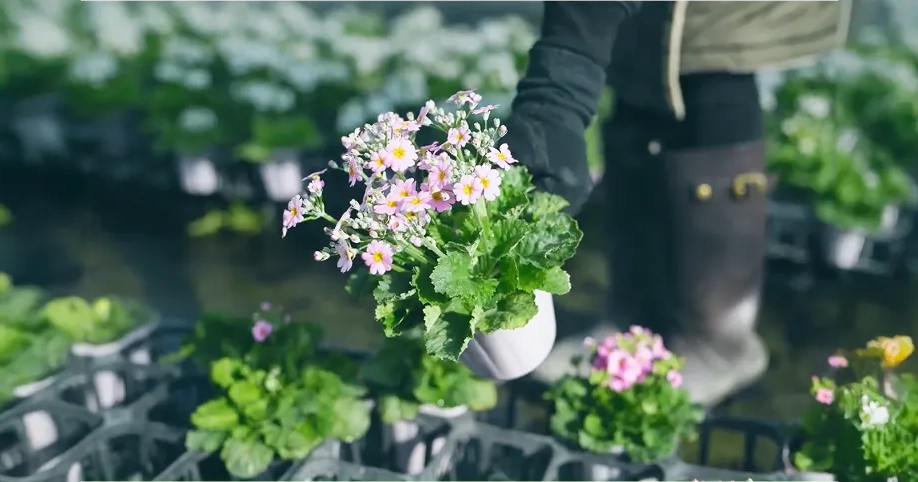 2aa037f3-1830-4f29-ab33-