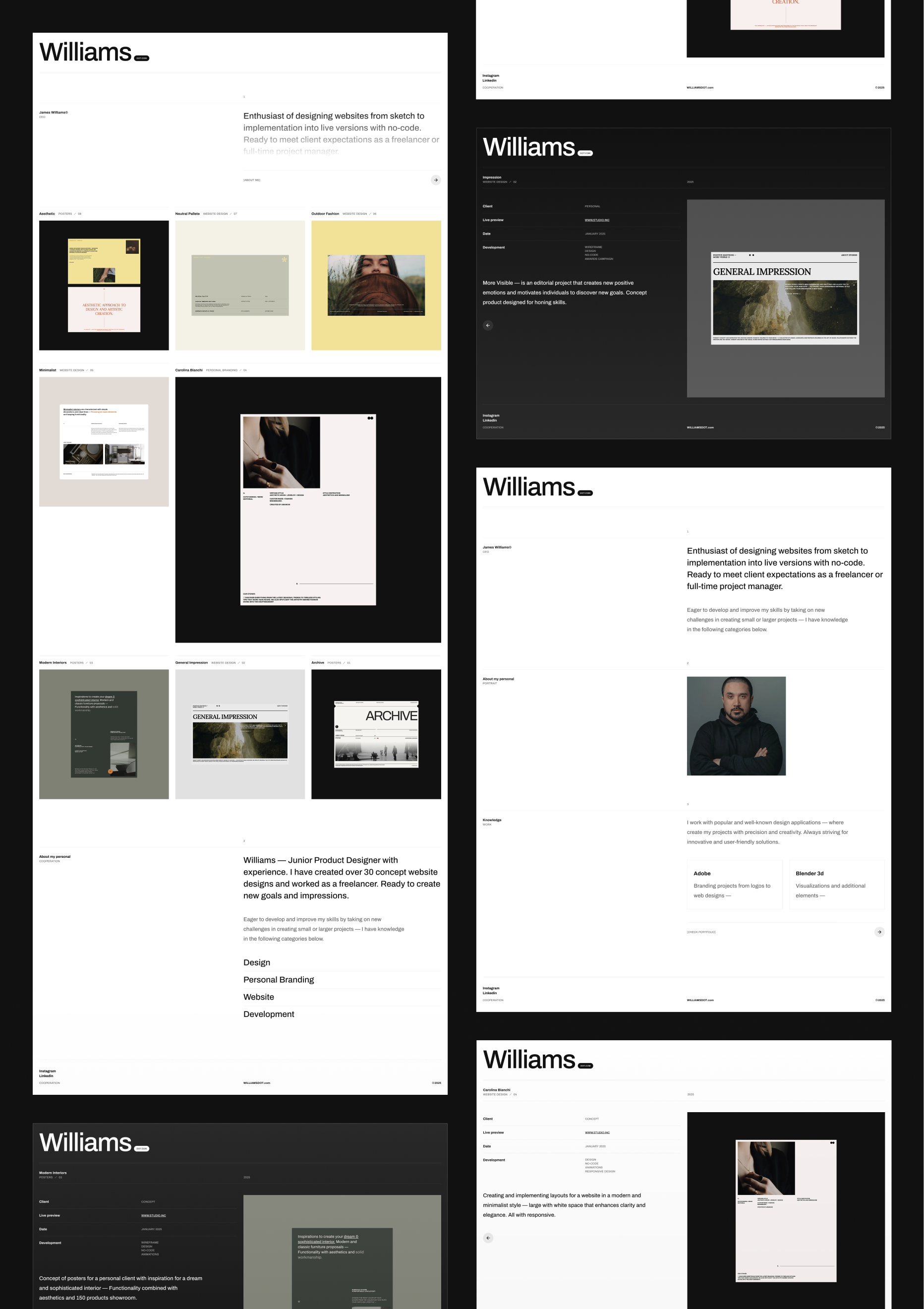 Design mock up for Williams | Portfolio