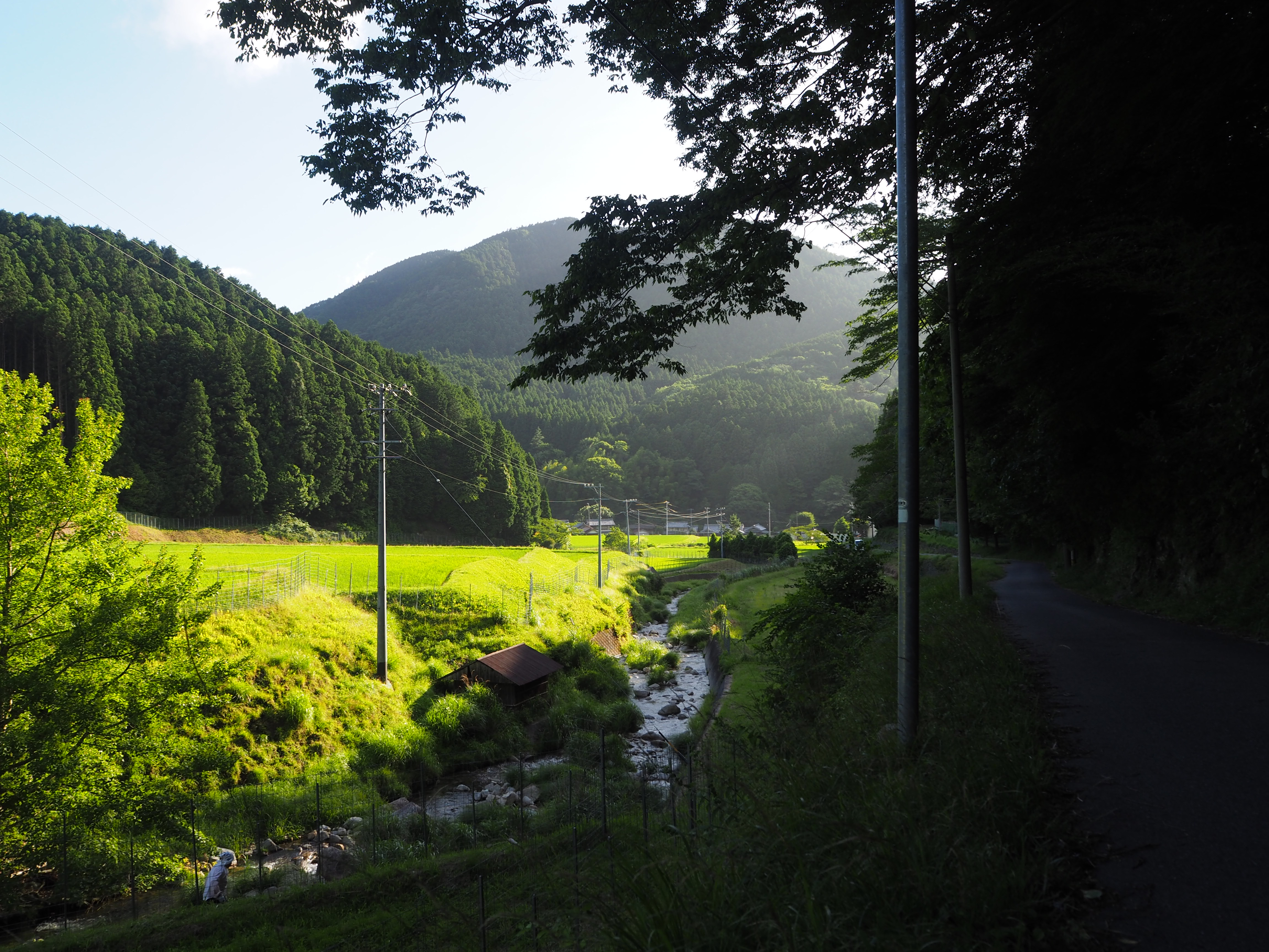 古伊賀建水 2025年最新】Yahoo!オークション -古伊賀の中古品・新品・未