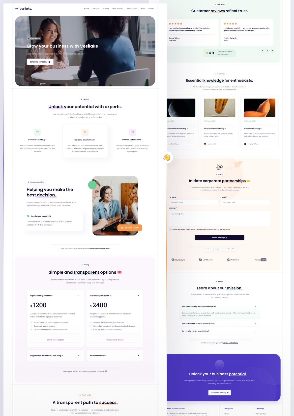 Design mock up for Vesilake | Pro Services