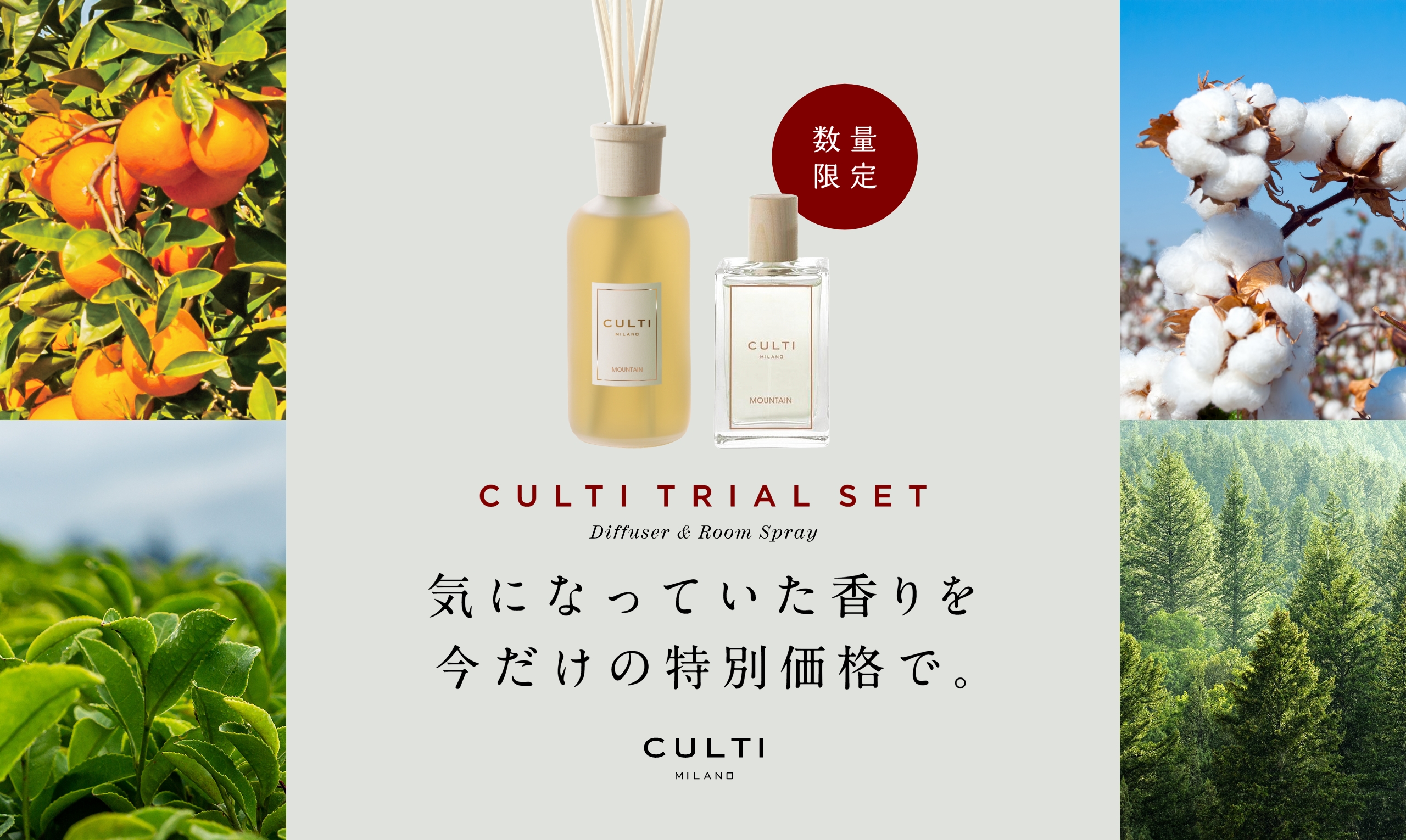 数量限定】CULTI MILANOお試しセットが登場！