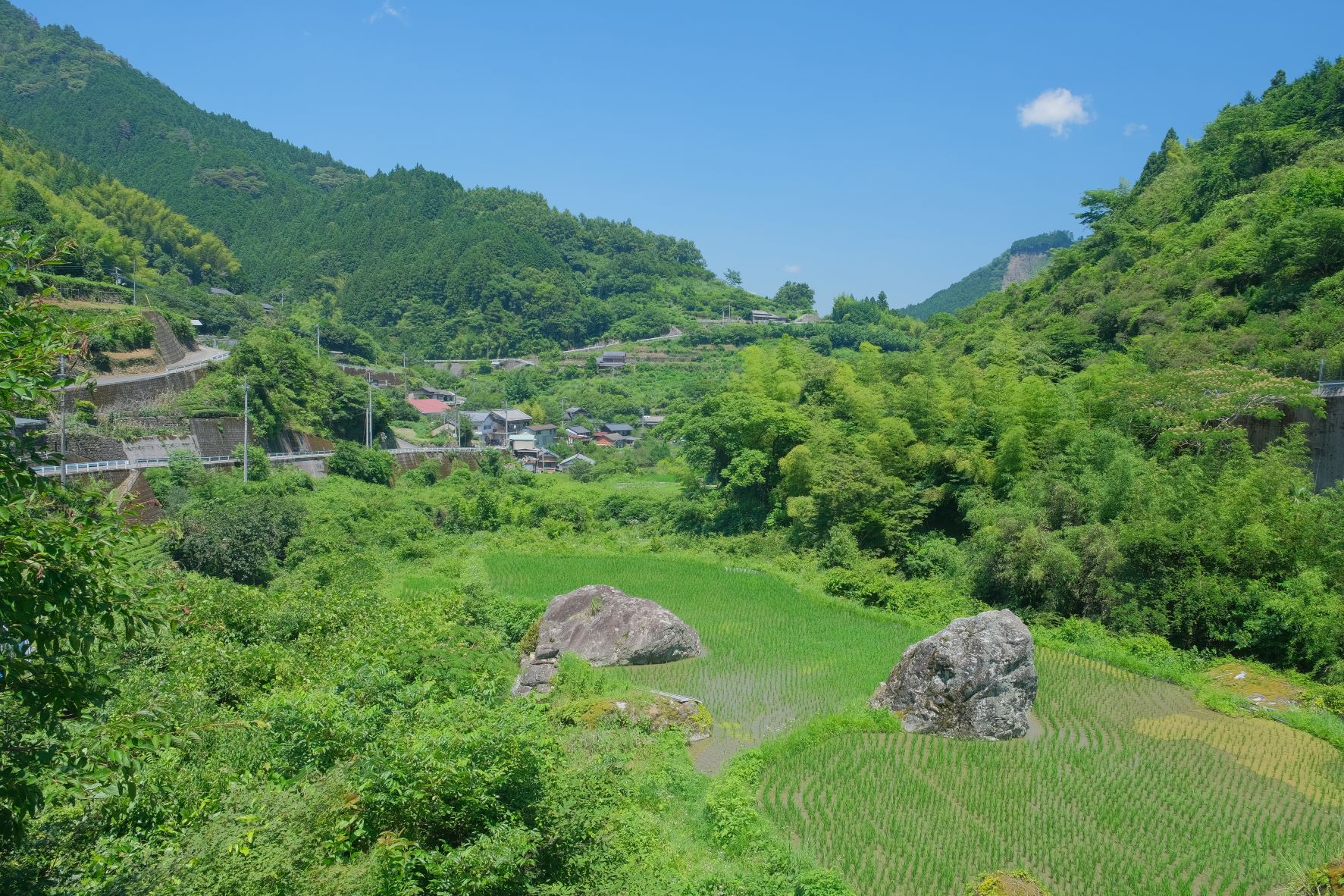 ふれあいの里柳野