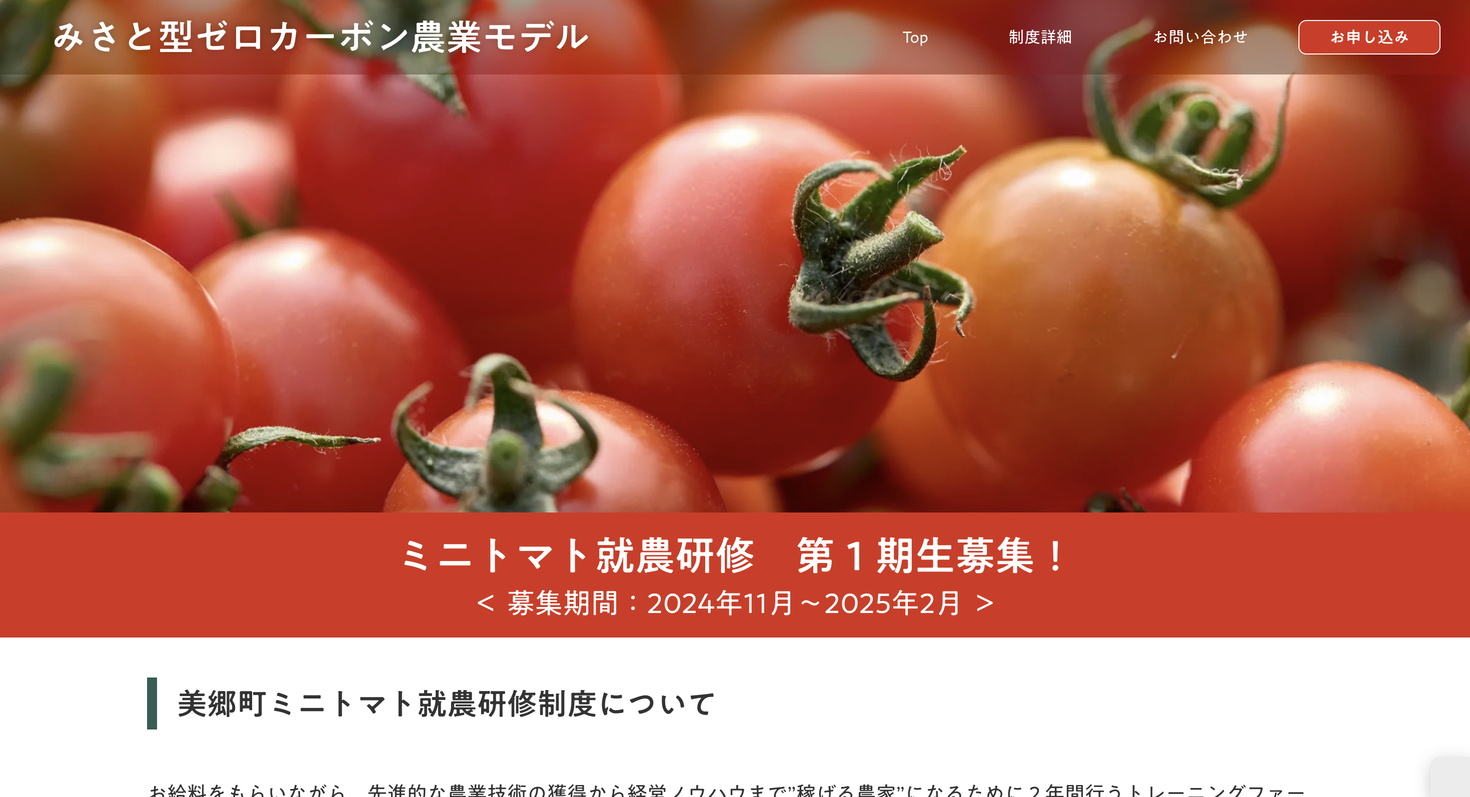 ミニトマト就農研修制度詳細