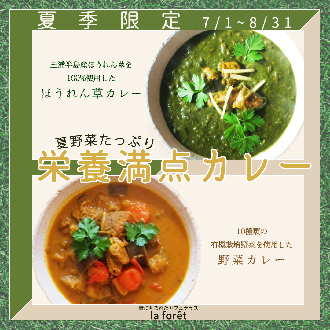 webデザイン、社会問題