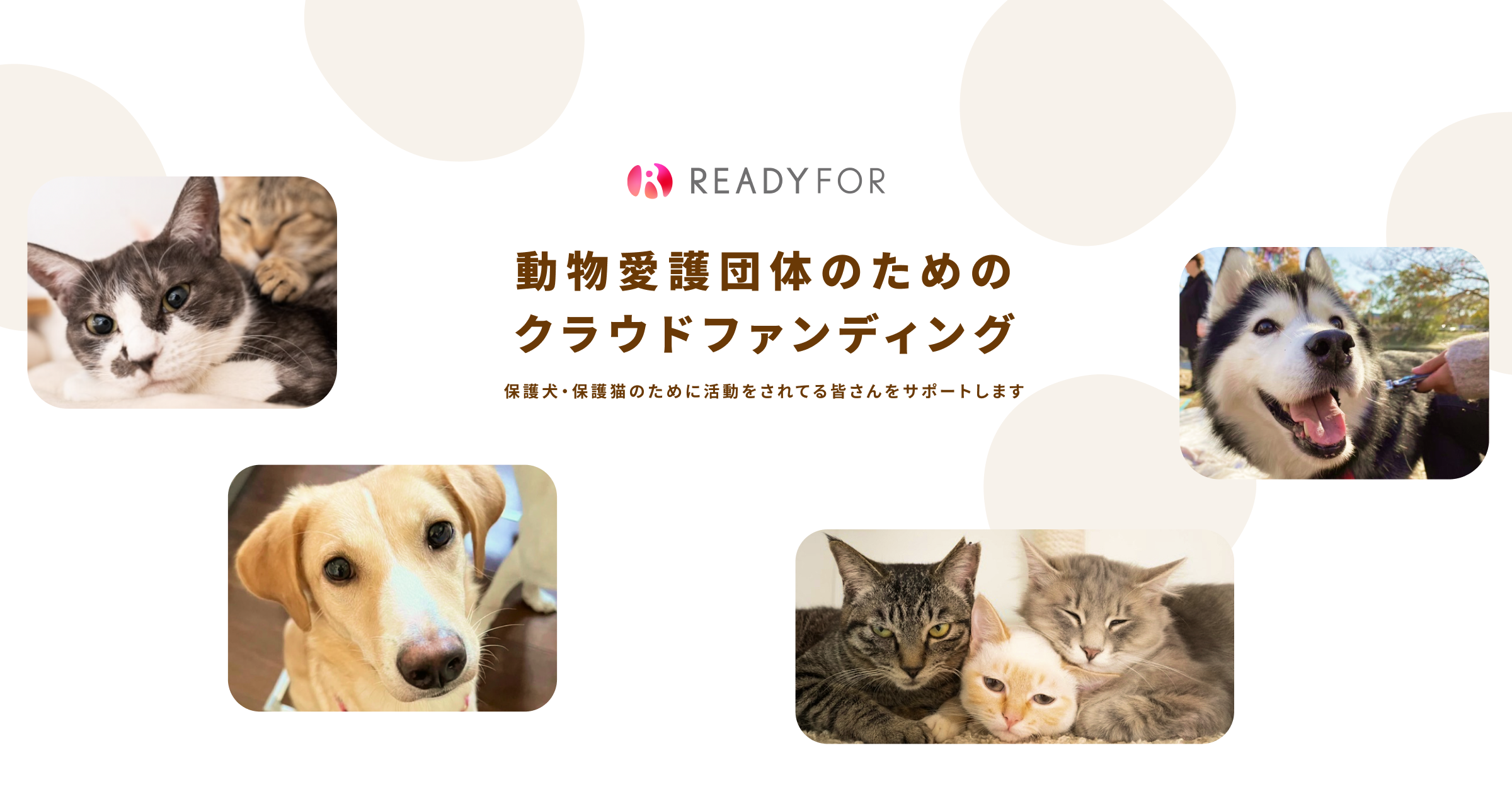 READYFOR 緊急支援
