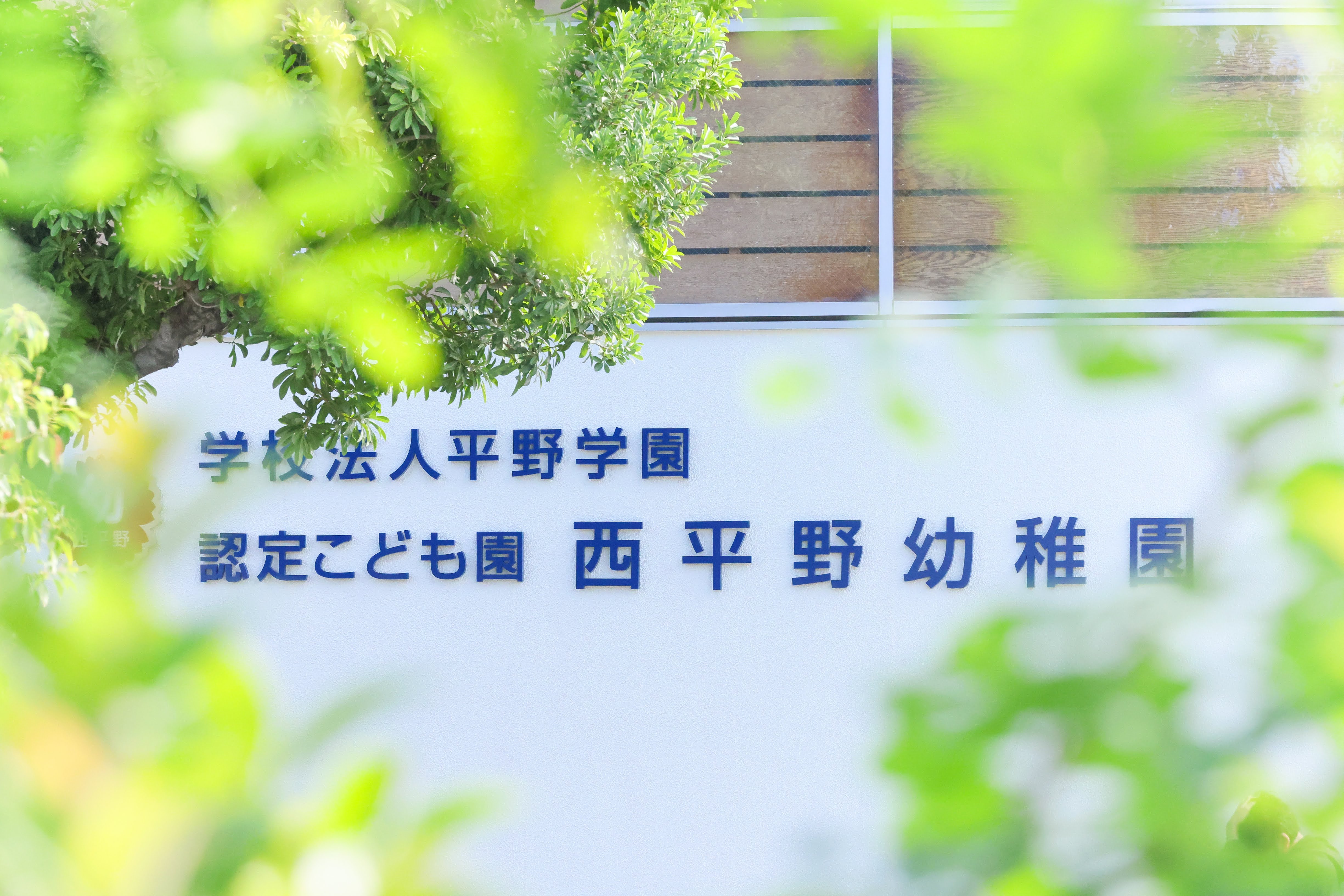 引用: 西平野幼稚園