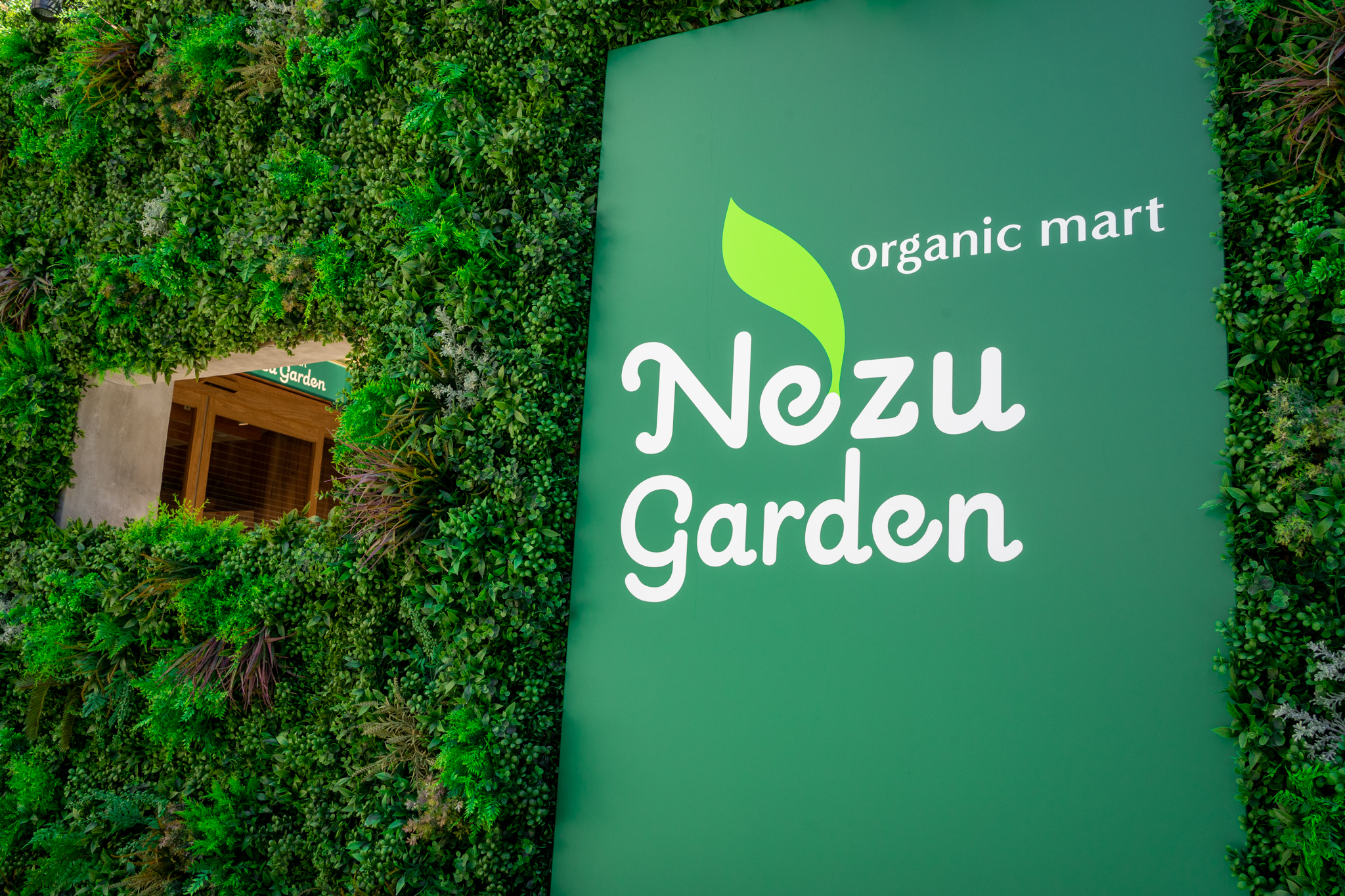 オーガニックストア グリーン organic store 6箱 オーガニックボックス OrganicBox グリーンシトラスシロップ